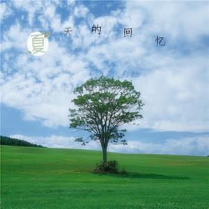 夏天的回忆