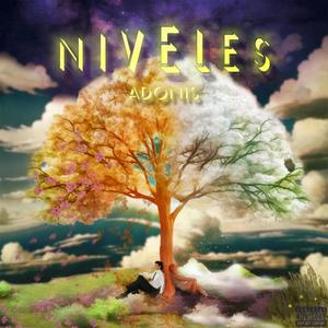 NIVELES (Explicit)