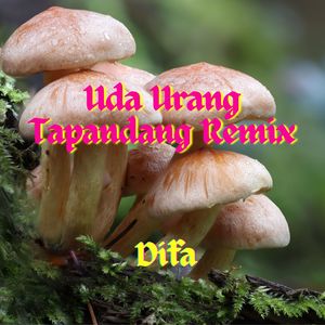 Uda Urang Tapandang Remix