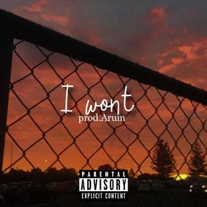 i won't (Explicit)