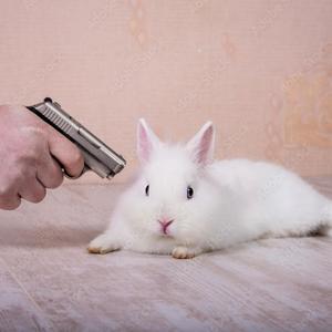 RABBIT GOT DA GUN (Explicit)