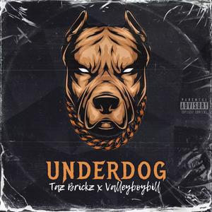 Underdog (feat. Valleyboybill) (Explicit)
