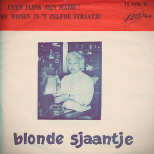 We Wonen in 't Zelfde Straatje