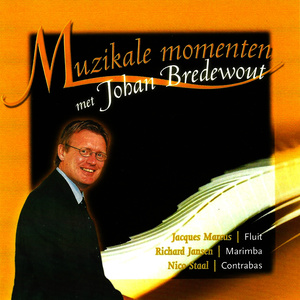 Fantasie over 'Ode an die Freude'