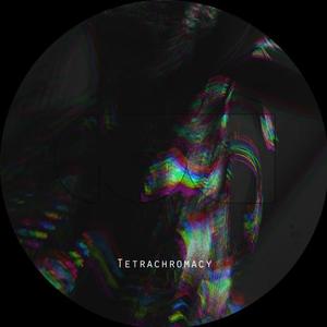 In Search (Of Shared Silence)