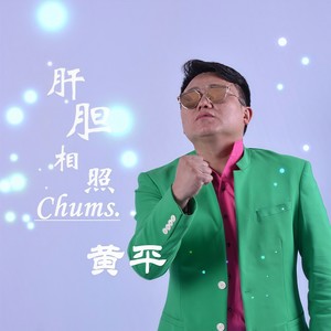 肝胆相照 - 黄平封面