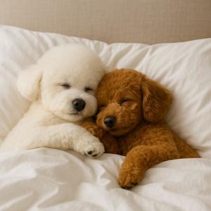 Rainy Window Snuggle