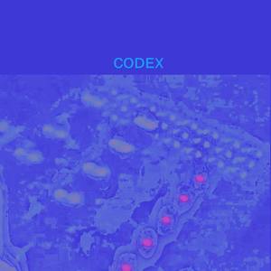 Codex