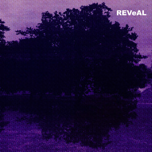 REVeAL (Original Mix)
