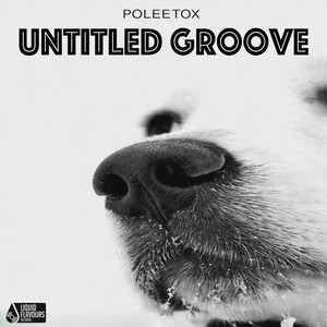 Untitled Groove