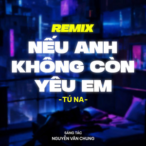 Nếu Anh Không Còn Yêu Em (Remix)