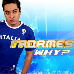 Why? (The Remixes)