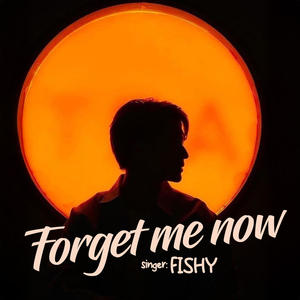 Forget Me Now (Remix)