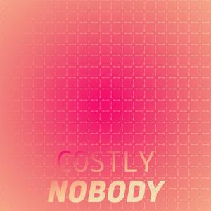 Costly Nobody