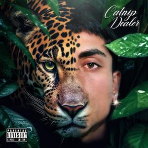 CATNIP DEALER (Explicit)