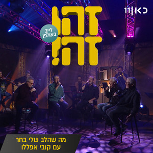 מה שהלב שלי בחר (Live)