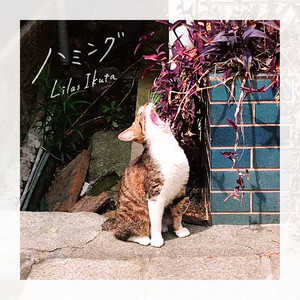 ハミング (哼唱)