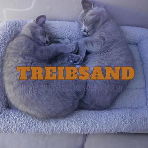 Treibsand (Explicit)