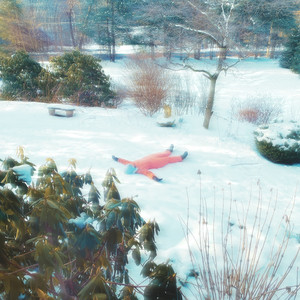 Home for the Holidays