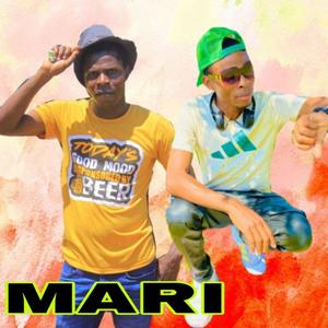 MARI (feat. Rasta maine & Ishmael de vocalist)