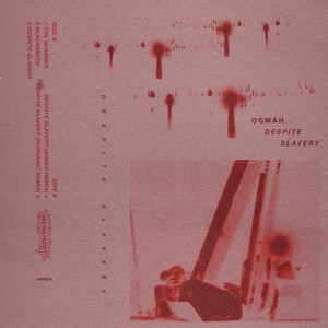Despite Slavery (Aneed Remix)