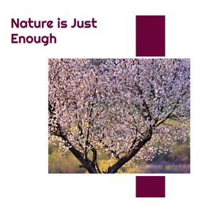 Ambient Oceanic Rhythms