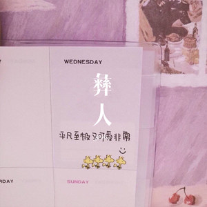 老八佩奇 (Remix)