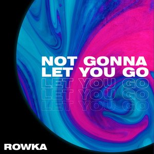 Not Gonna Let You Go