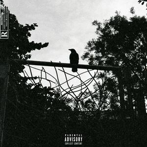 Bipolar (Slowed + Reverb)