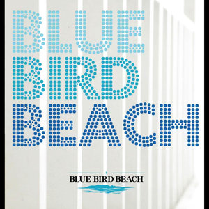 BLUE BIRD BEACH