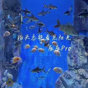 稻城亚丁进行曲