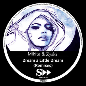 Dream A Little Dream (Seb Skalski Slow Down Remix)