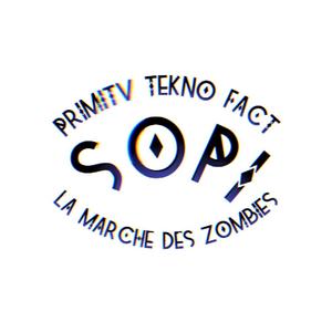LA MARCHE DES ZOMBIES