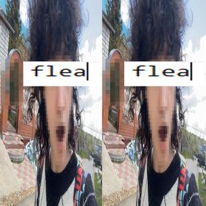 flea (Explicit)