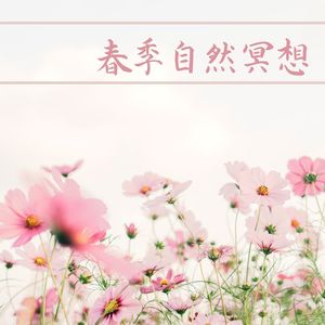 春季自然冥想: 森林轻音乐, 大自然水流声, 冥想放松, 森林SPA