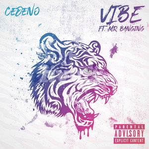 Vibe(feat. Mr Banging) (Explicit)
