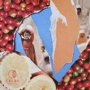 Bird Of Soul (Carlos Barbero & Kimao Remix)