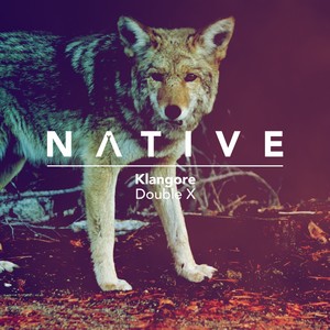 Double X (SiTO|JPN|Remix)