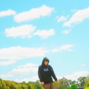 paper trails (Explicit)