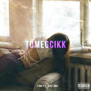 Tömegcikk (feat. Acodyakus) (Explicit)
