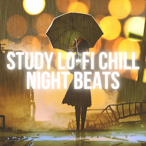 Study Lo-Fi Chill Night Beats