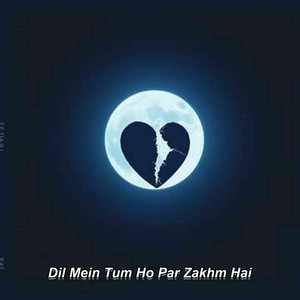Dil Mein Tum Ho Par Zakhm Hai