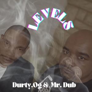 Level (feat. Mr. Dub) [Explicit]