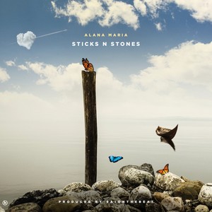 Sticks n Stones