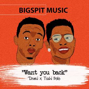 Want You Back