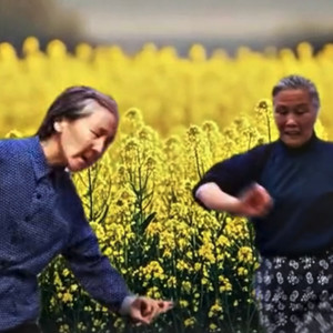 油菜花专属 BGM