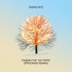 Падав сніг на поріг (Frooker Remix)