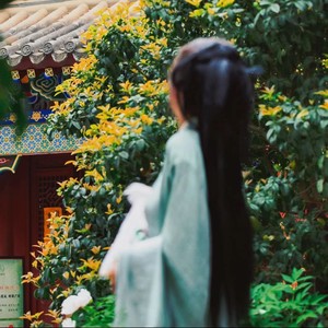 落花有意水无情