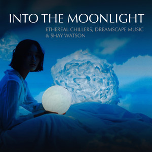 Into the Moonlight