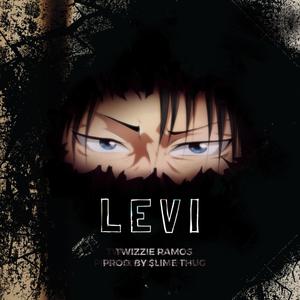 LEVI (Explicit)